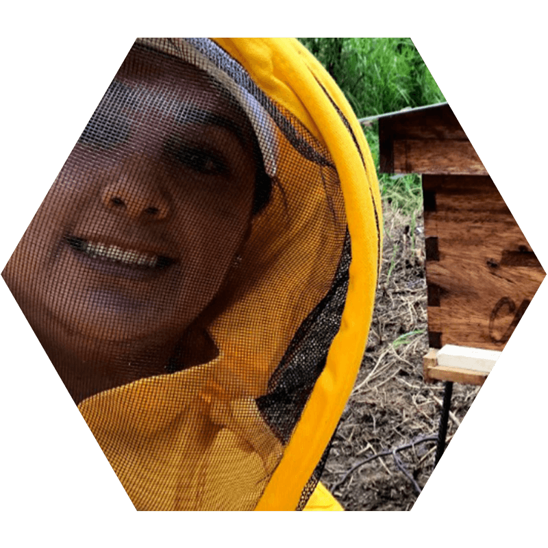 Miel de abejas orgánica Bogotá
